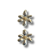 Pair of silver flower-shaped earrings on a white background